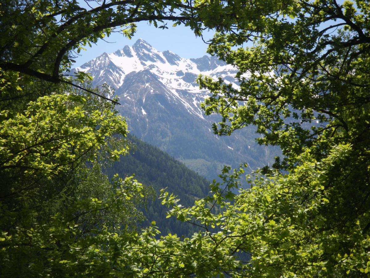 Appart Burgwies inklusive Sommercard Stuhlfelden Exterior foto